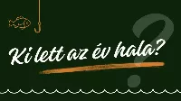 Ki lett az év hala 2024-ben?